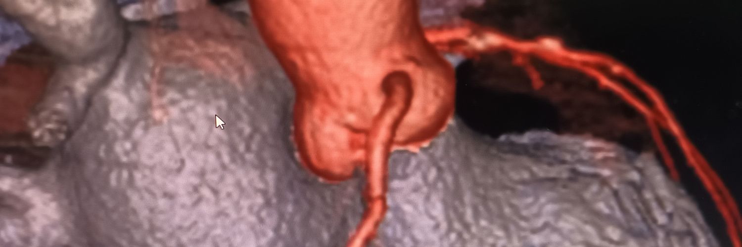 Dra. Luisa Vera banner