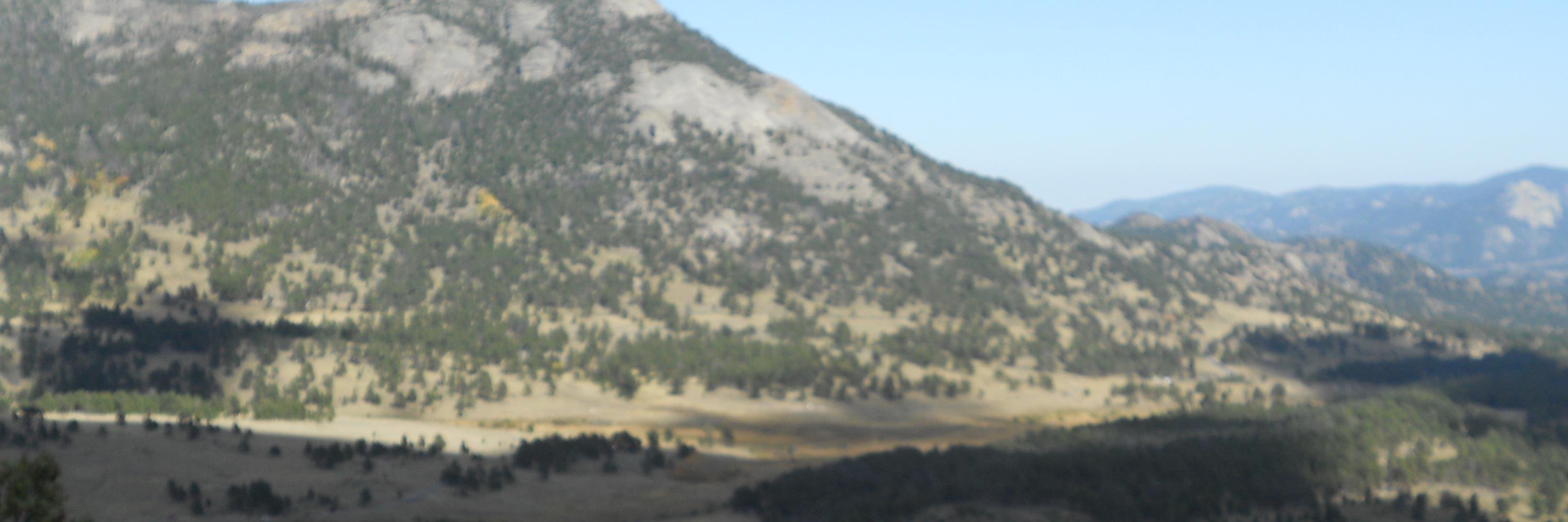 LisaMontez4's profile banner image
