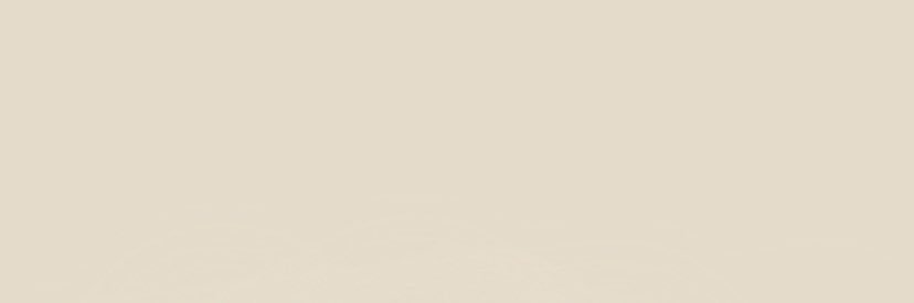 琉愛👶🏻🥦 banner
