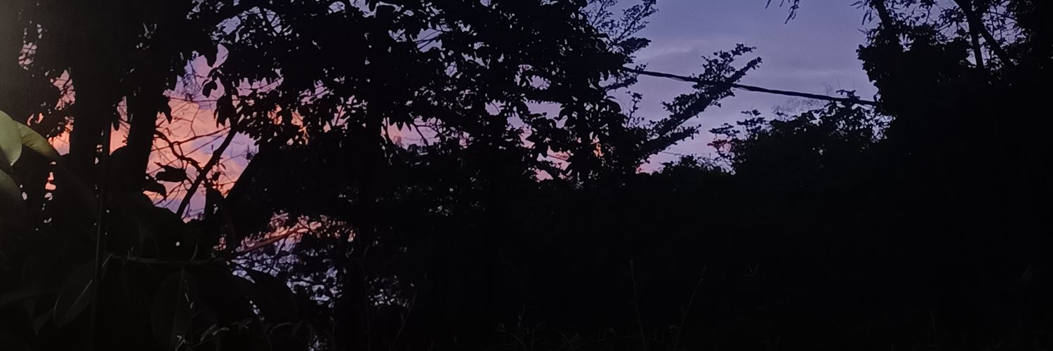 weebesokngapain's profile banner image
