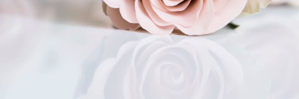aoisiki1 Profile Banner