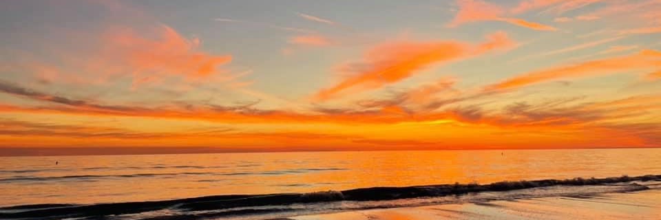 JoAnne Foody, MD, FACC, FAHA banner