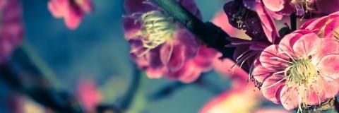 abrilsan1's profile banner image