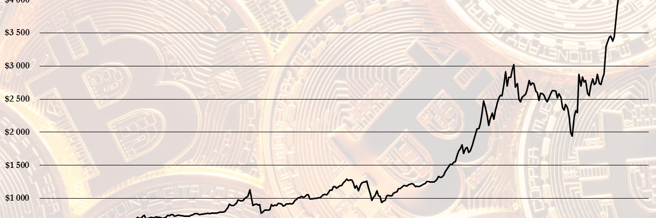 TraderQuentin's profile banner image