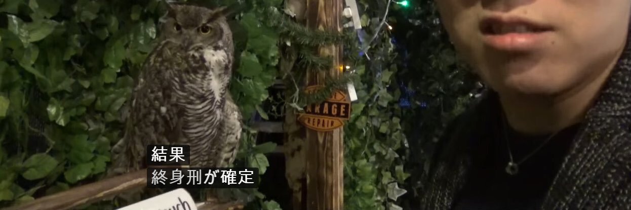 ymllst's profile banner image