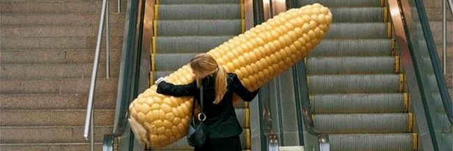 Big Corn Energy🌽⚡️ banner