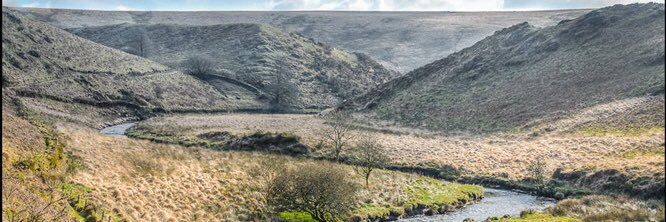 Simonsbath Festival banner