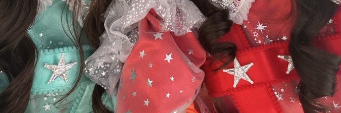 りんさん banner
