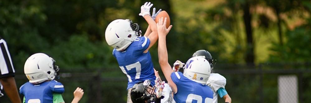 Junior Blue Jay Football banner