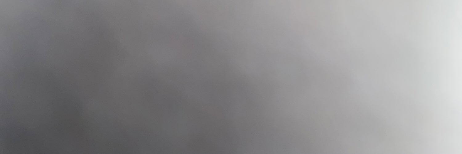 PFaudoas's profile banner image