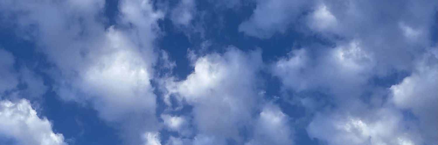 olatrelia's profile banner image