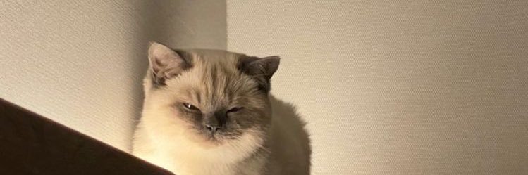 ggteyee's profile banner image