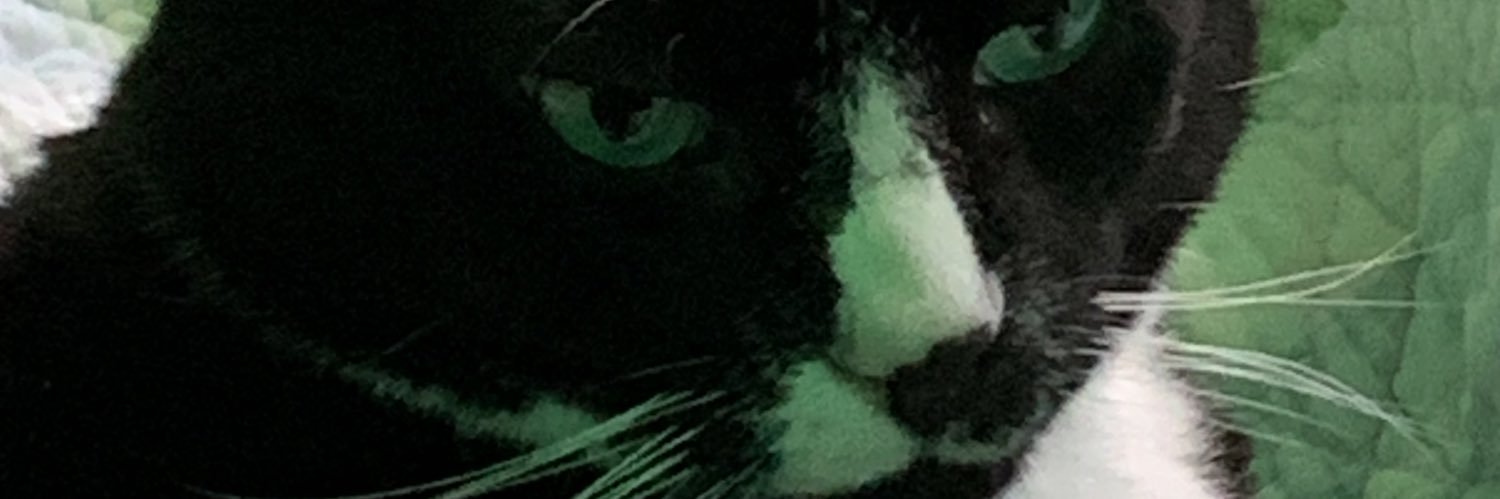 sebdot_'s profile banner image