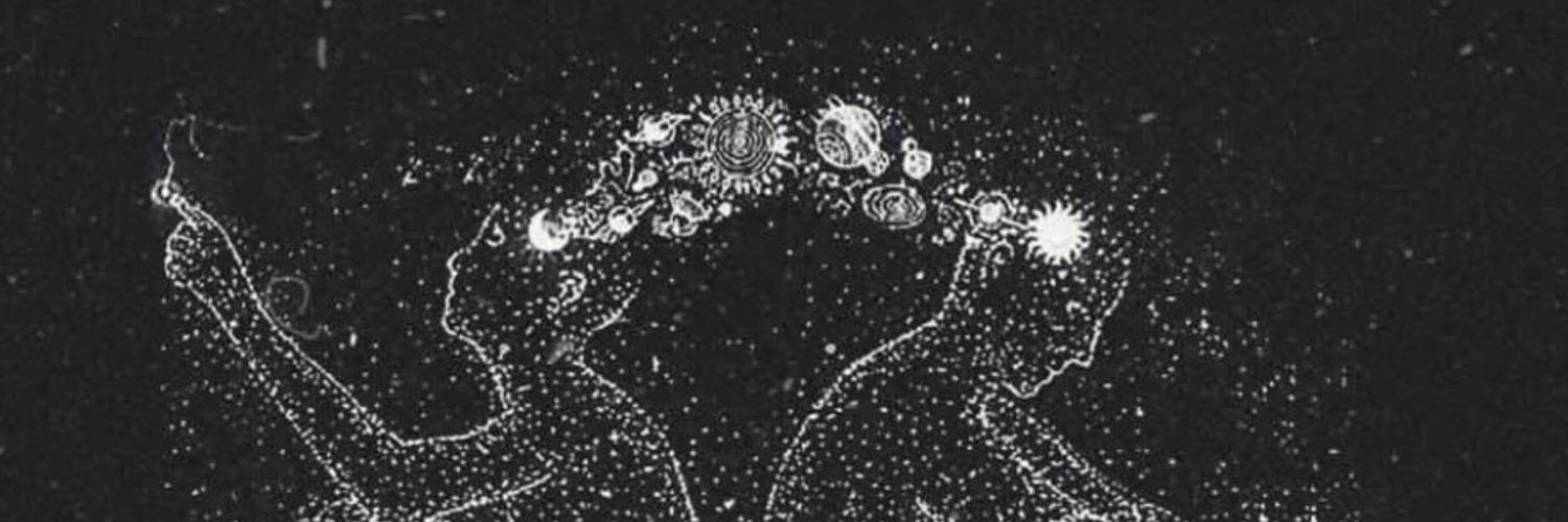 LaraColtro's profile banner image