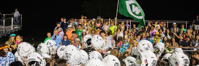 Ryer Snow banner