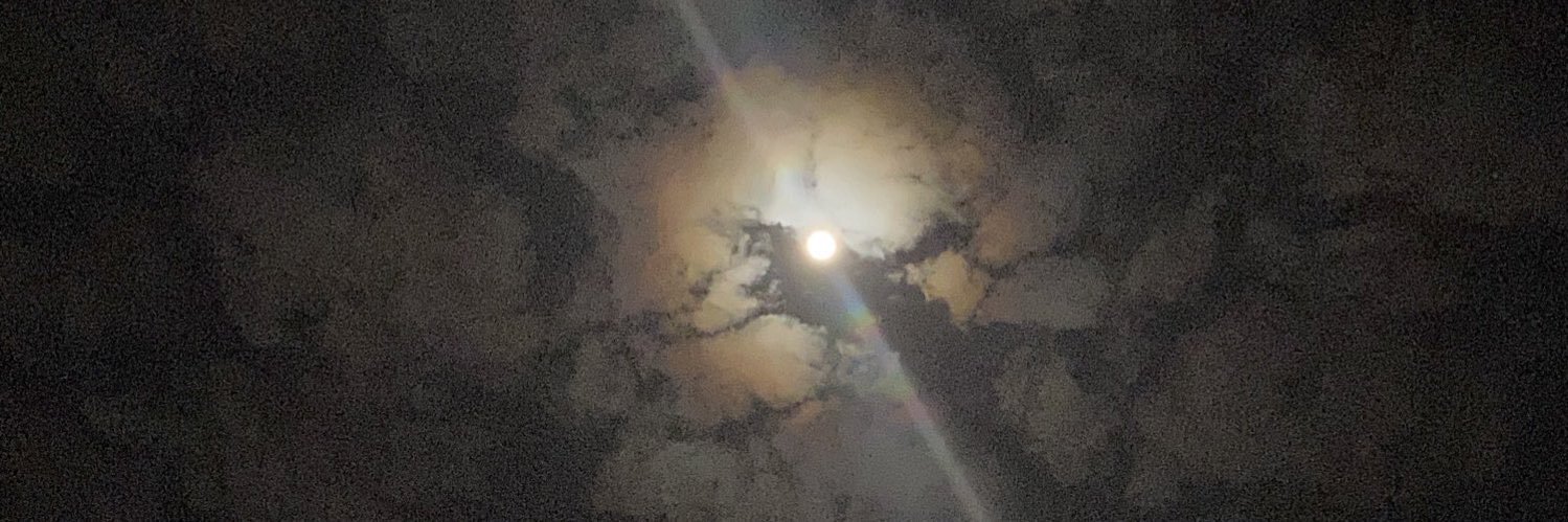 الرَّاكِبُ المُسْتَظِلّ banner