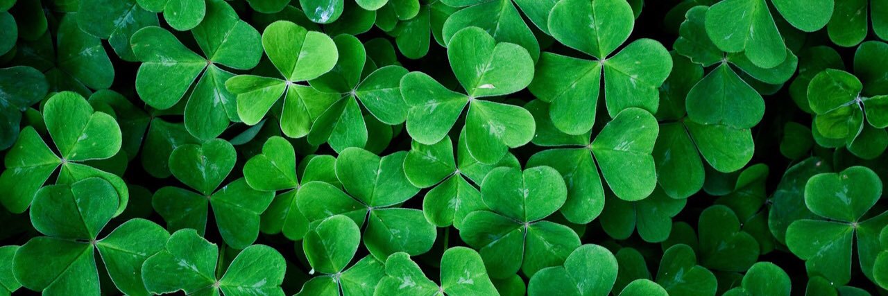 WASA 🇸🇪 banner