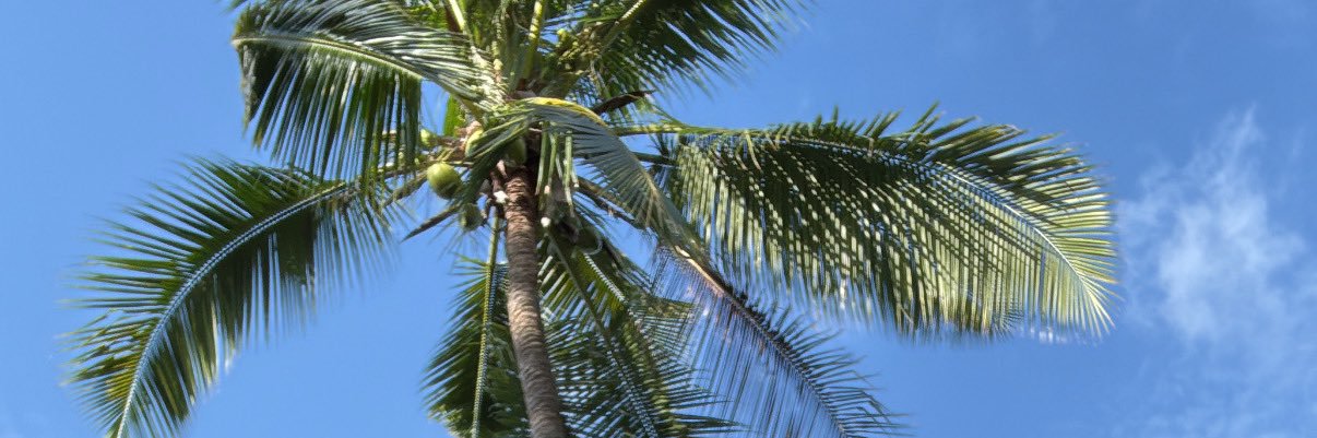 EyazSemdin111's profile banner image