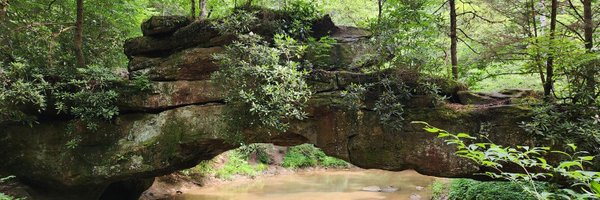 jaylinkjl Profile Banner