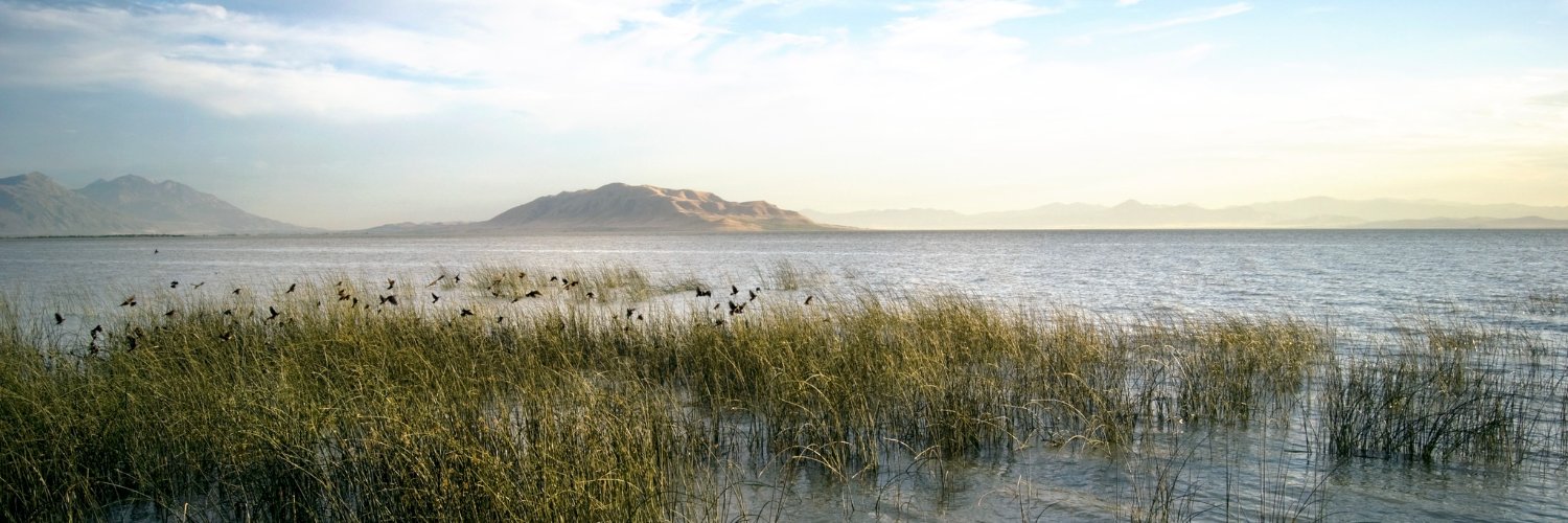 UTLakeProject's profile banner image