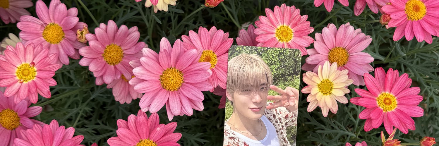 bornct_'s profile banner image