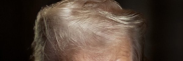 istrumpdea Profile Banner