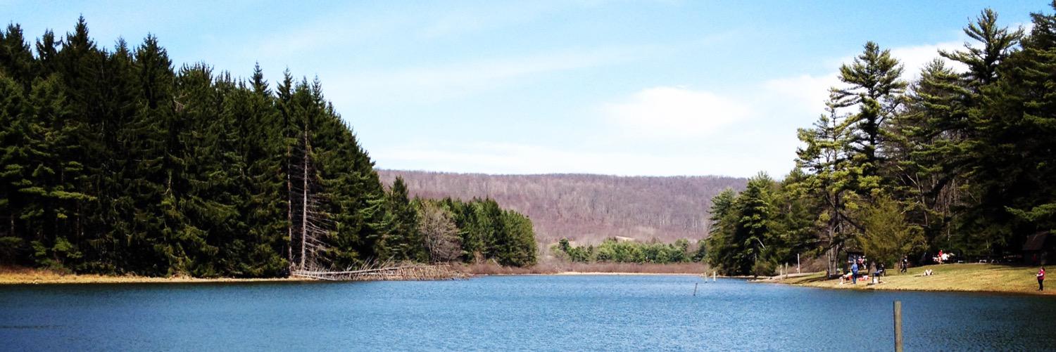 ksmnp's profile banner image