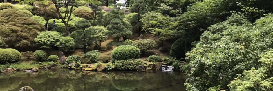 Larry Shackelford banner