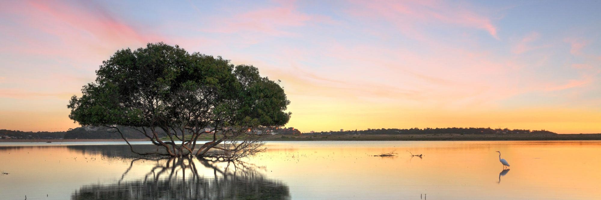 Ocean Research & Conservation Association banner