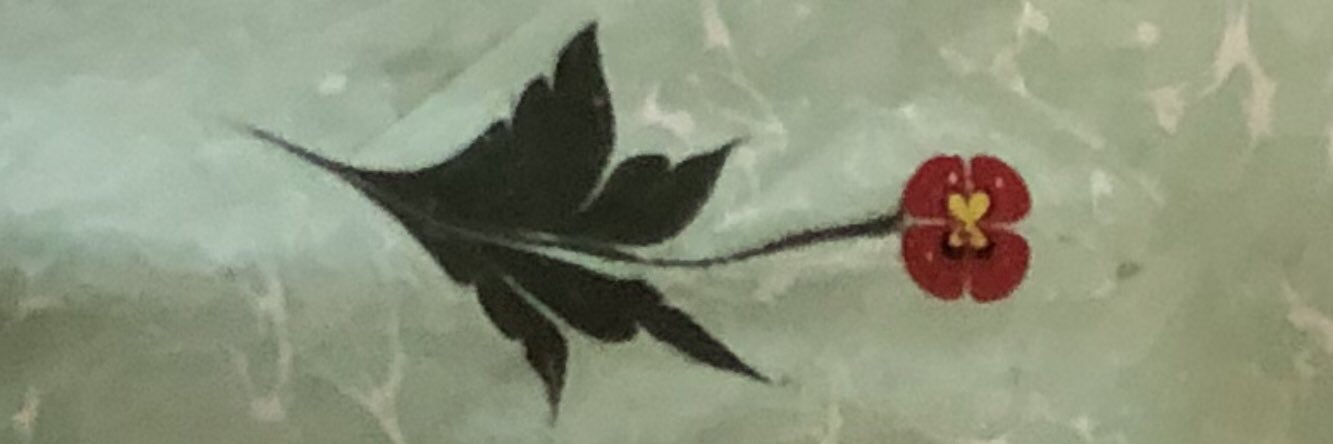 taz_omer's profile banner image
