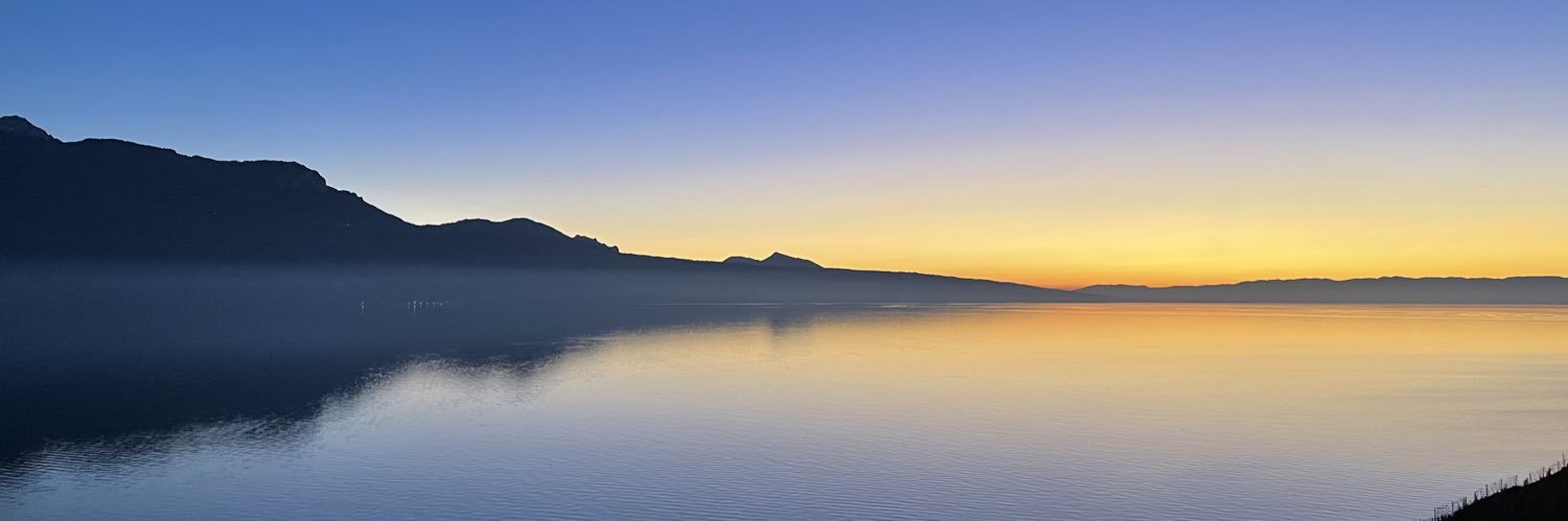 Leo ᯅ banner