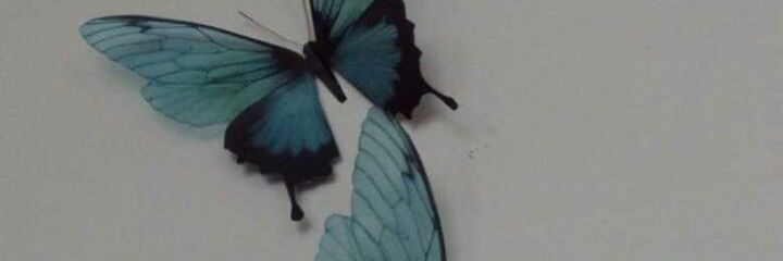 J,A,L9899 banner