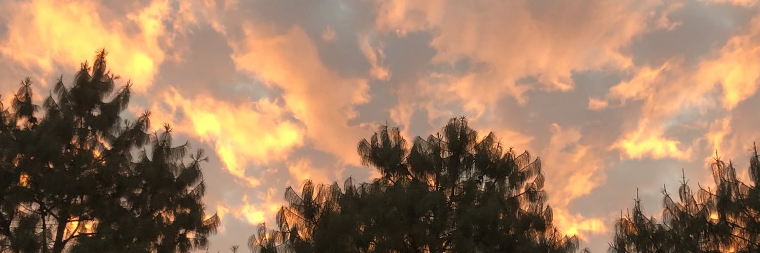 shelle_priv's profile banner image