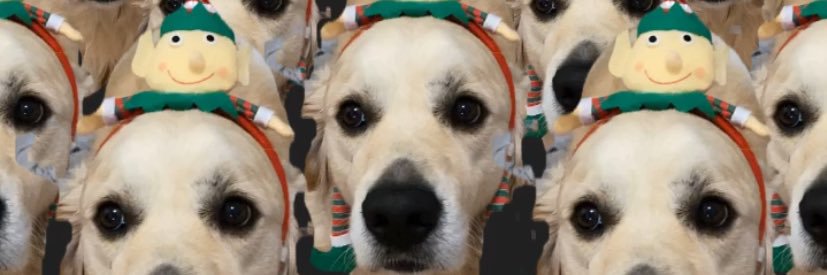 NotoriousChester banner