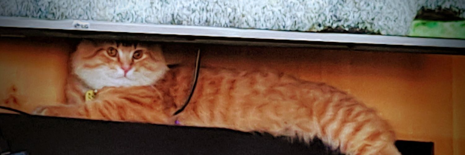 #1 CatWhisperer banner