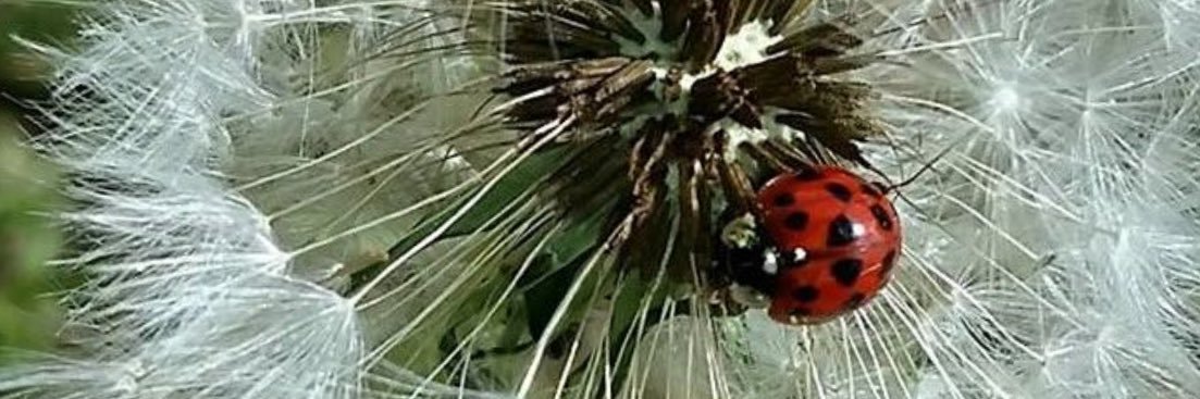 Sam Ruzindaza banner