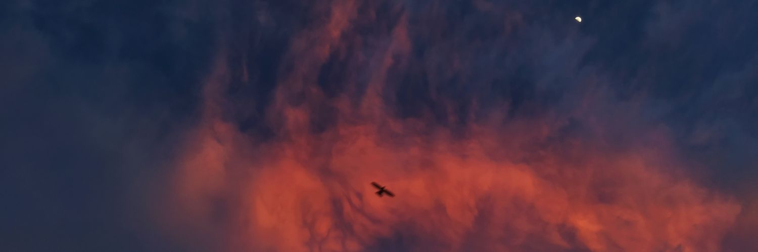 Epidemia008's profile banner image