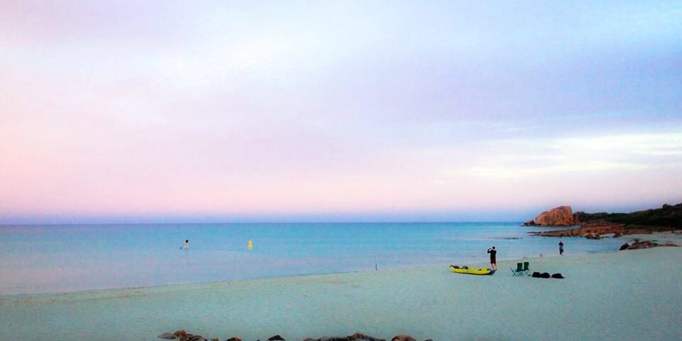 Emily Plowman, Ph.D., FASHA banner