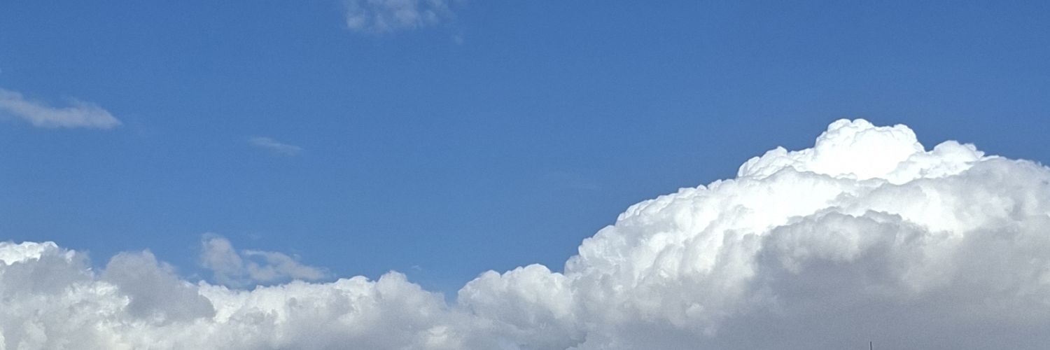 أناناسة banner