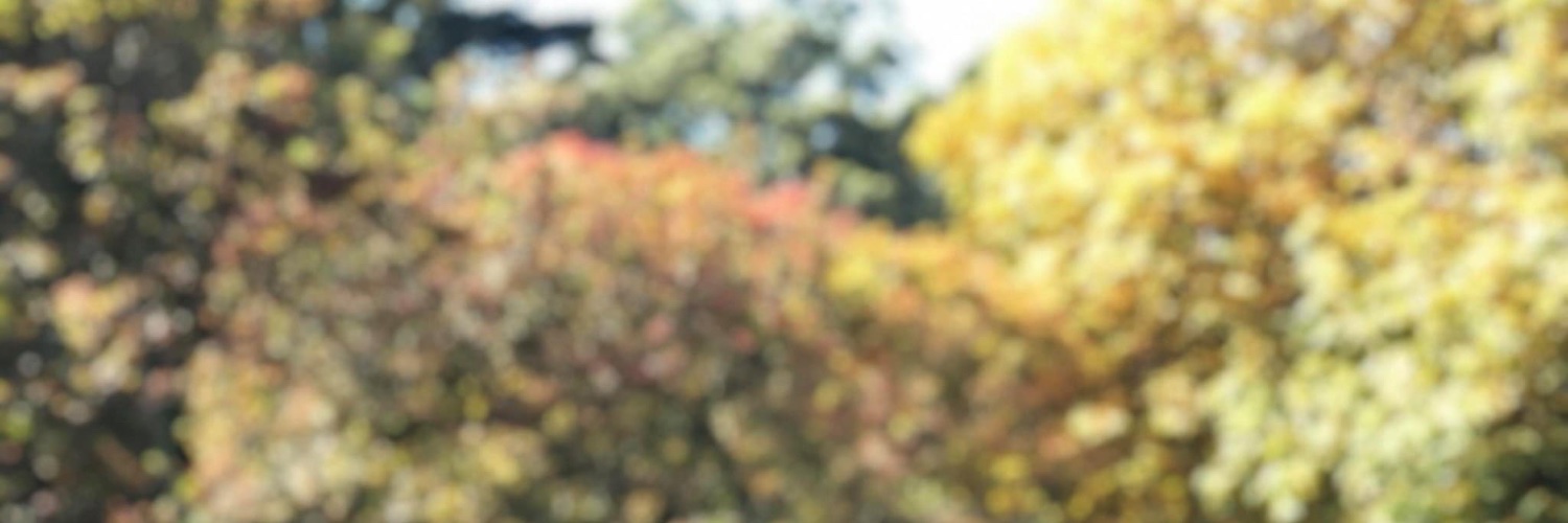 LocalFriend_1's profile banner image