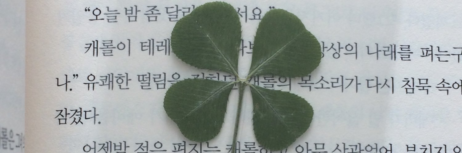 ella banner