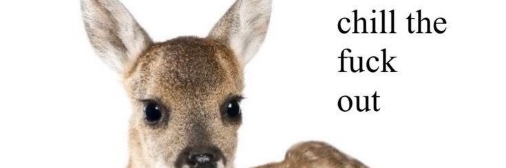 besour𖦹 mulher banner