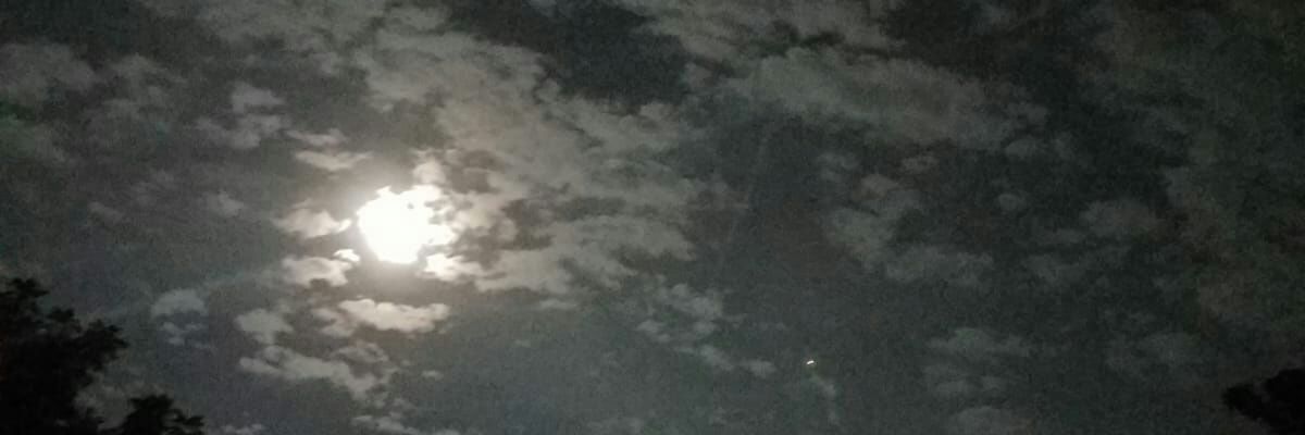 a_donna's profile banner image