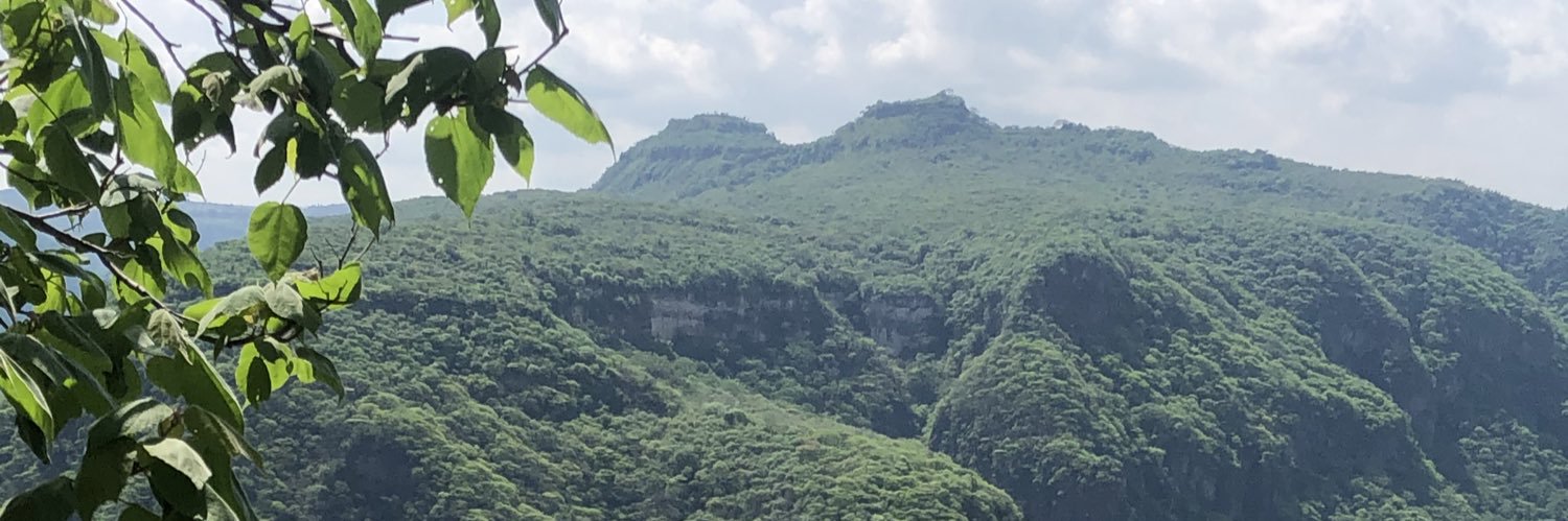 ElPrimoGDL33's profile banner image
