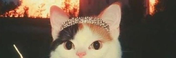 ᴇʟꜱᴀ⛧ᴛᴀɴᴀꜱ banner