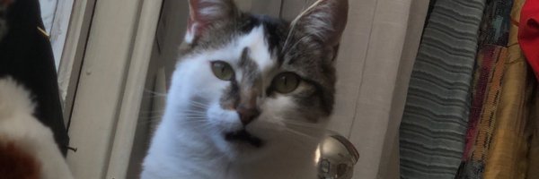 foundinspades Profile Banner