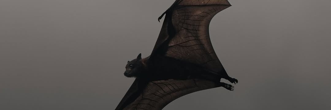 Waffledark1890's profile banner image