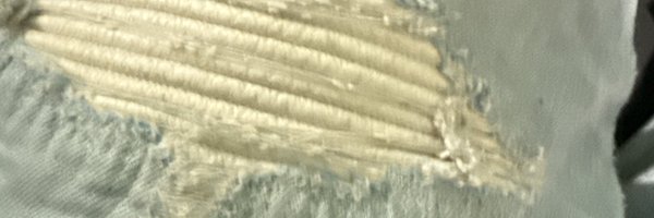 lultris7 Profile Banner