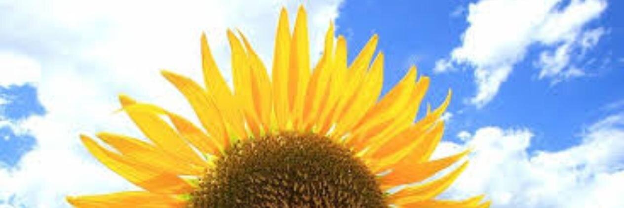 08s0ph1a12's profile banner image