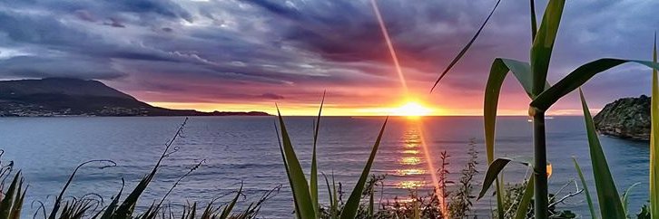 maxnoviello's profile banner image